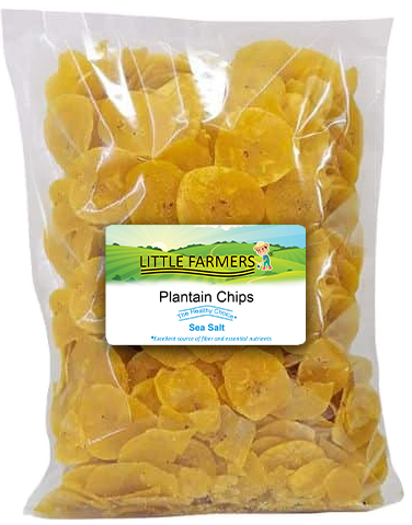 Plantains Chips Sea Salt Bulk 353 oz