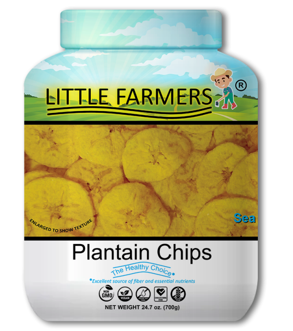 Plantains Chips Sea Salt Jar 700g - 6 Pack